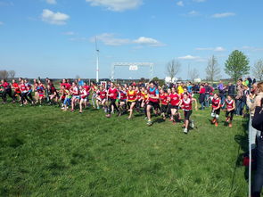 爱游戏登录入口-体育新闻中心参与制定青少年体育内容发布规范，青少年体育刊物